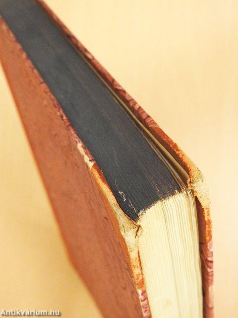 Repräsentanten der Renaissance