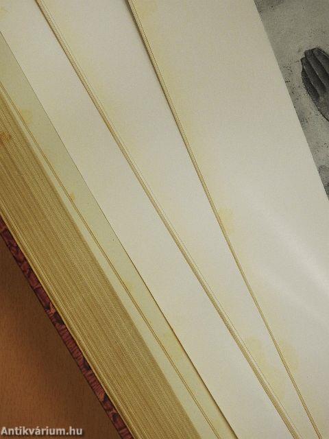 Repräsentanten der Renaissance