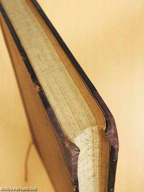 Le Journal de la Jeunesse 1896. I./Chronique de la Jeunesse (fél évfolyam)