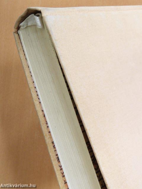 Világtörténet képekben I.