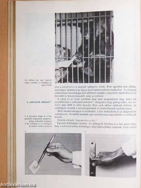 A változó világ III.