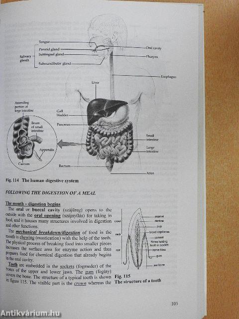 Biology - Cell biology, histology and human biology