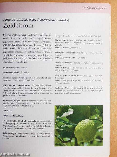 Az aromaterápia teljes módszertana