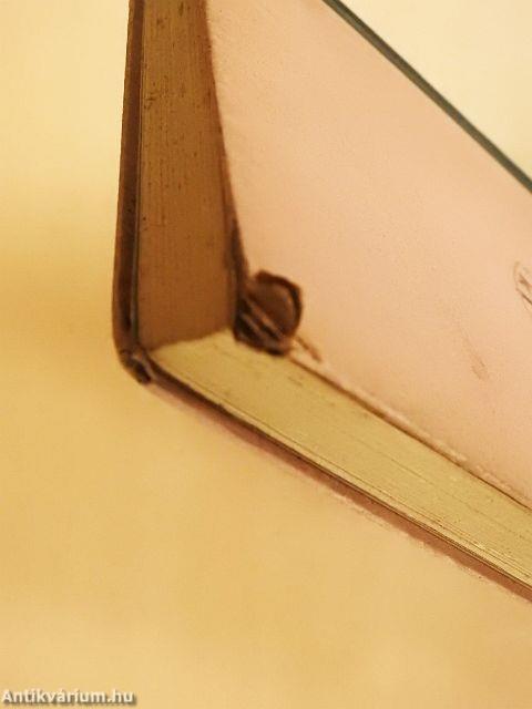 A titokzatos alagút