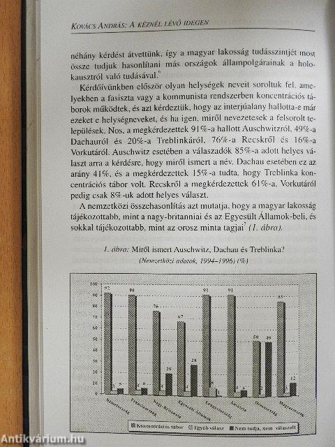 A kéznél lévő idegen