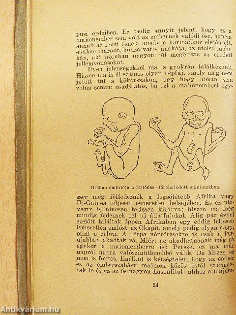 Az ember származása és a származástan vázlata