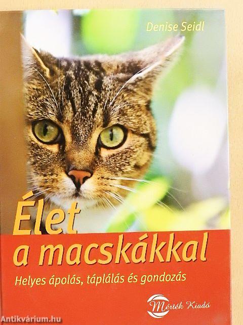 Élet a macskákkal