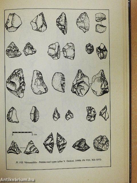 Palaeolithic Pebble Industries in Europe