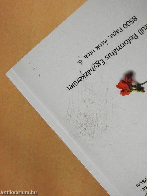 A szeretet győzelme a nevelőmunkámban