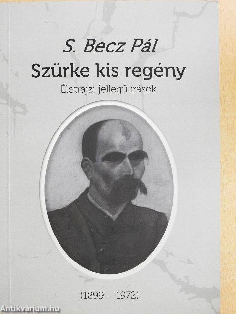 Szürke kis regény