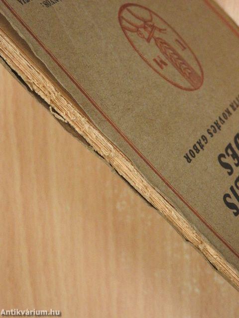 A szociális kérdés