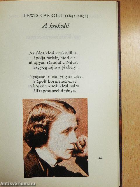 Képtelen világ
