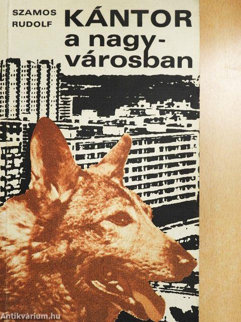 Kántor a nagyvárosban
