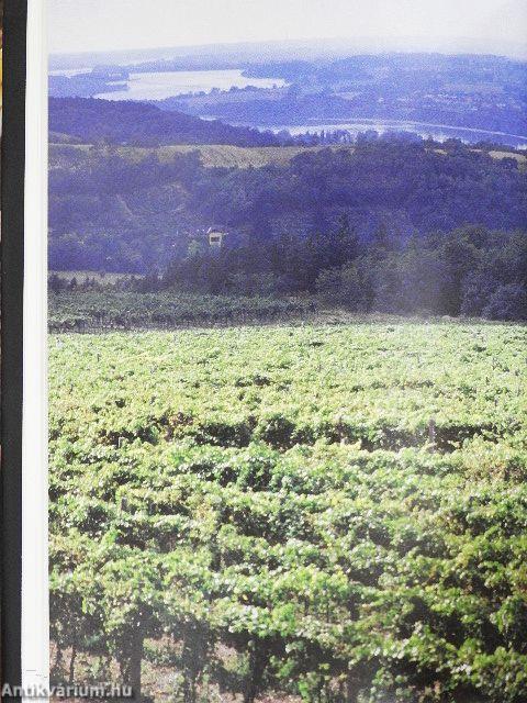 Pincétől az asztalig