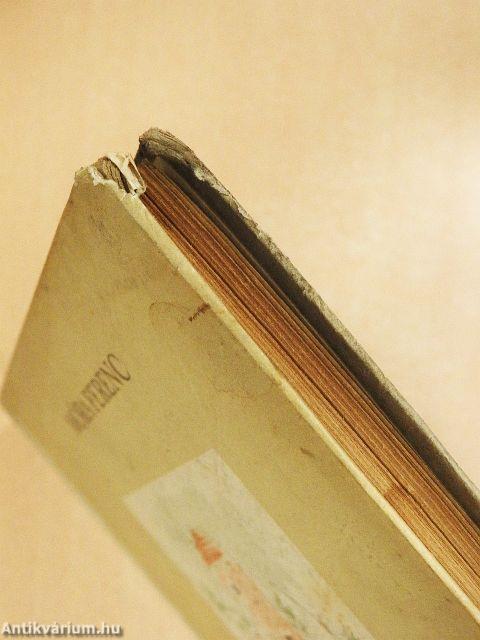 Kincskereső kisködmön