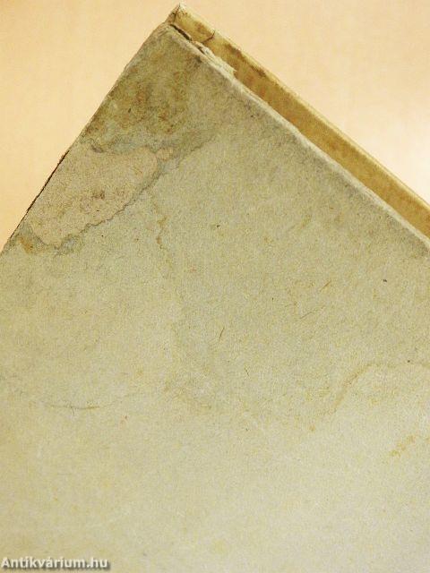 Kincskereső kisködmön