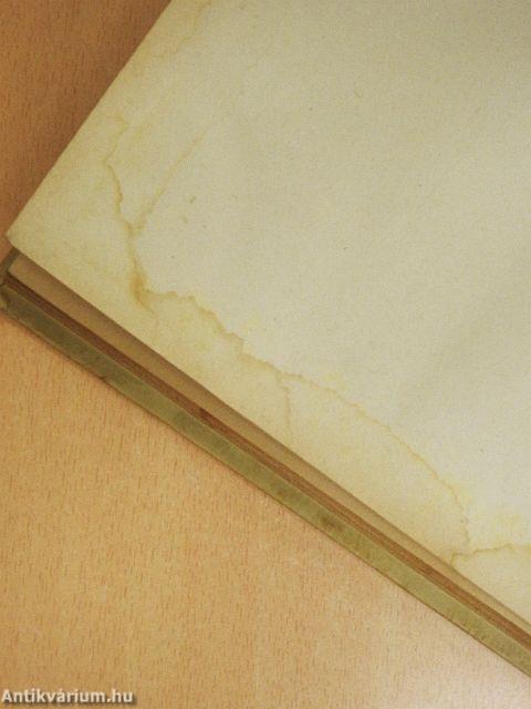 Kincskereső kisködmön