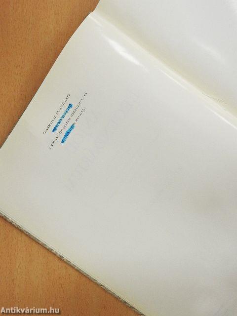 Magyar Anjou legendárium