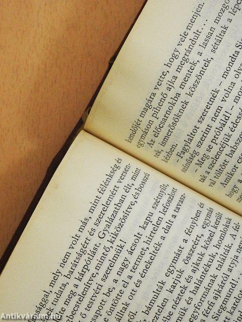 Thomas Mann elbeszélései