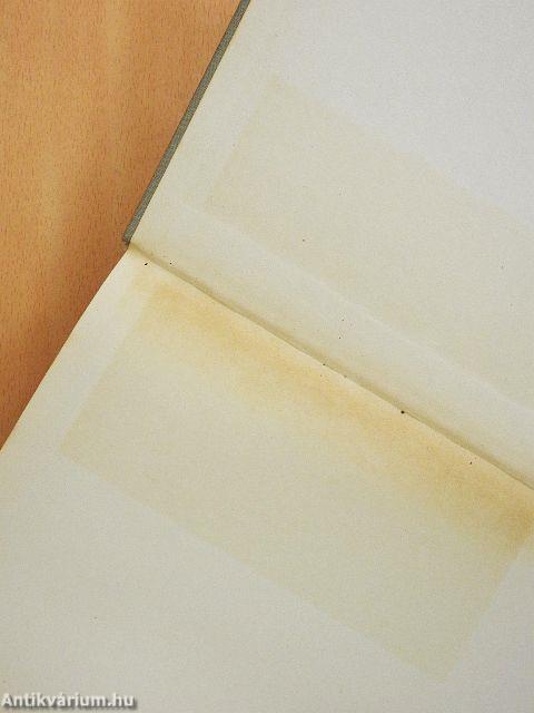 Bevezetés Magyarország történetének forrásaiba és irodalmába I.