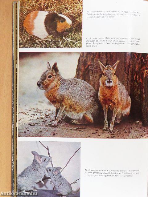 Urania Állat- és Növényvilág I-VIII.