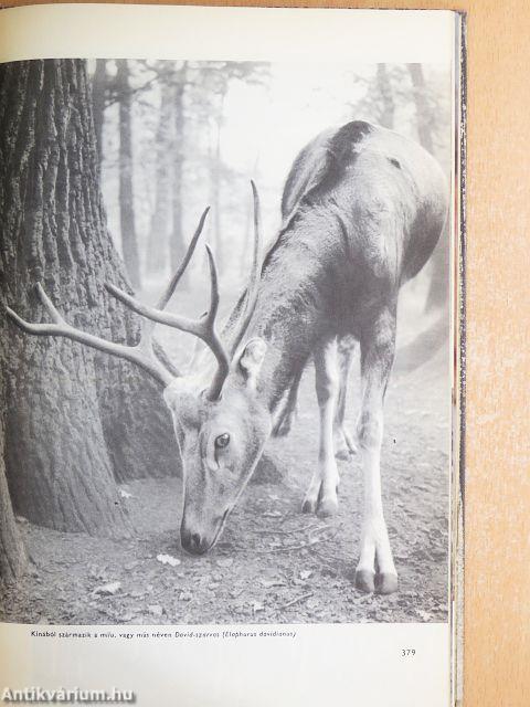 Urania Állat- és Növényvilág I-VIII.