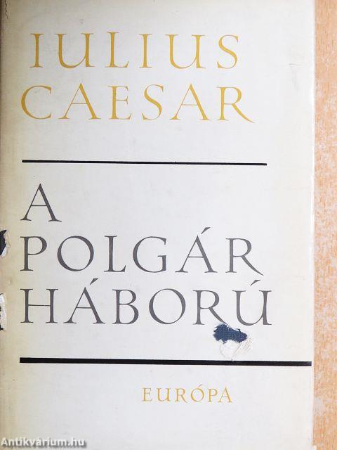 A polgárháború