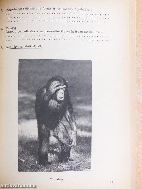 Pszichológiai gyakorlatok