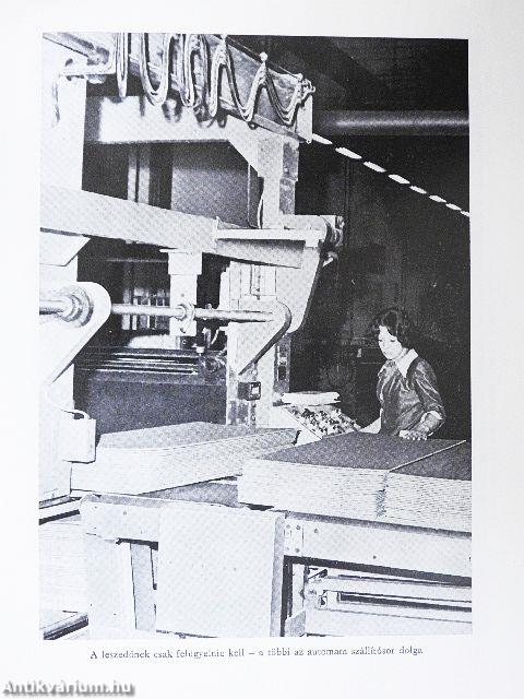 Egy a kilenc közül