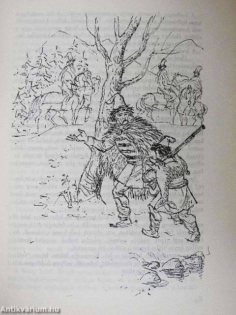 Thököly ifjúsága