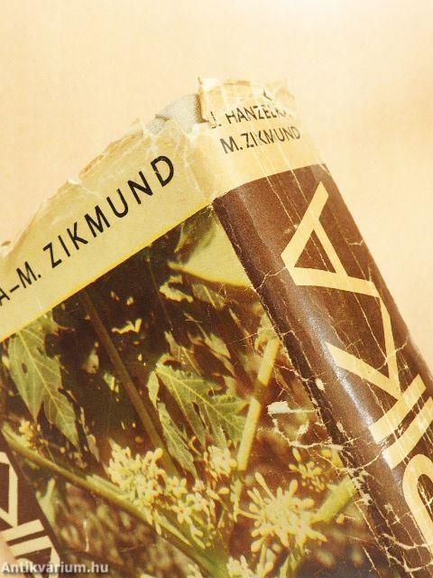 Afrika az álmok világában és a valóságban 1-2.