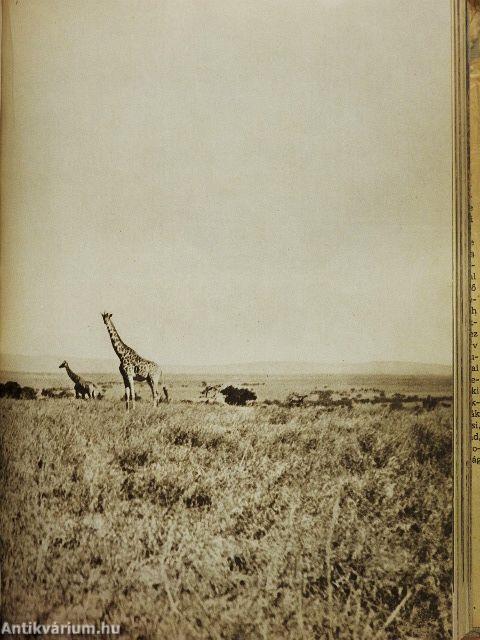 Afrika az álmok világában és a valóságban 1-2.