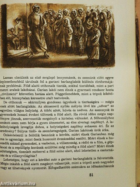 Afrika az álmok világában és a valóságban 1-2.