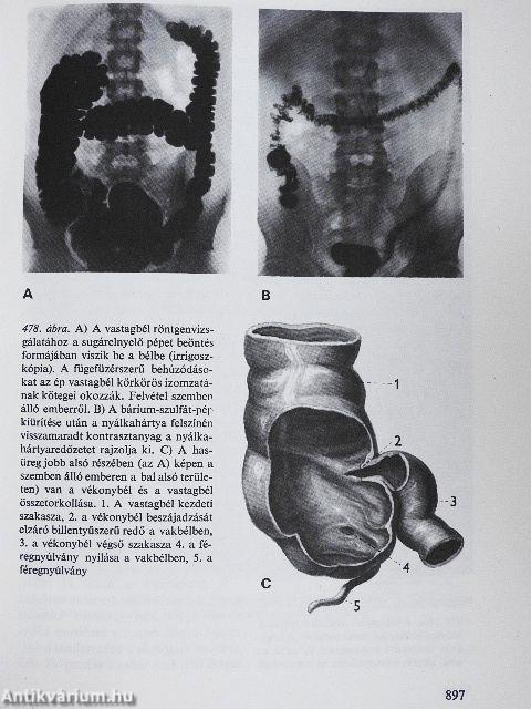 Az emberi test 1-2.