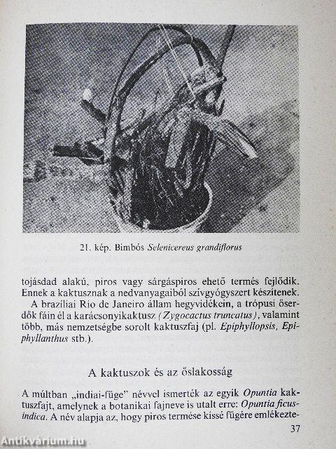 Kedvelt kaktuszok, pozsgások