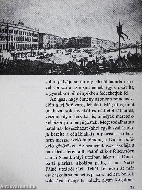 Így élt a szabadságharc költője