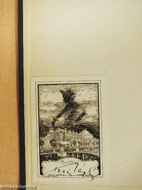 A nyugati ablak angyala