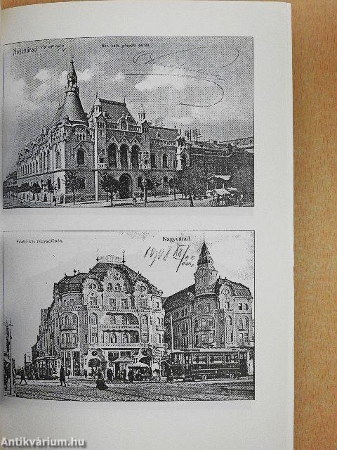 Kis/Ligeti/Könyv - A fedélzetközi utas elsüllyedt világa