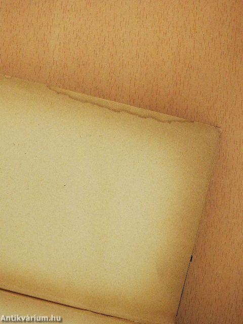 Die Bekenntnisse des heiligen Augustinus (gótbetűs)