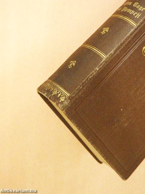 Die letzten Tage von Pompeji (gótbetűs)