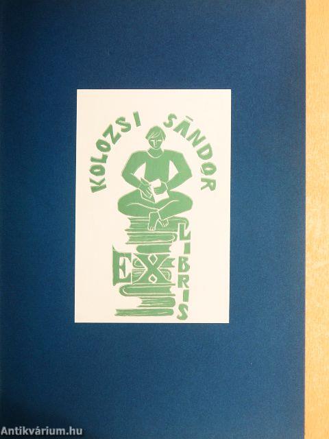 Dózsa katonái/Kosúti sortűz