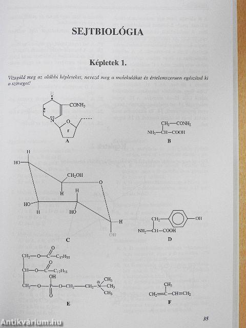 Gondolkodtató biológia