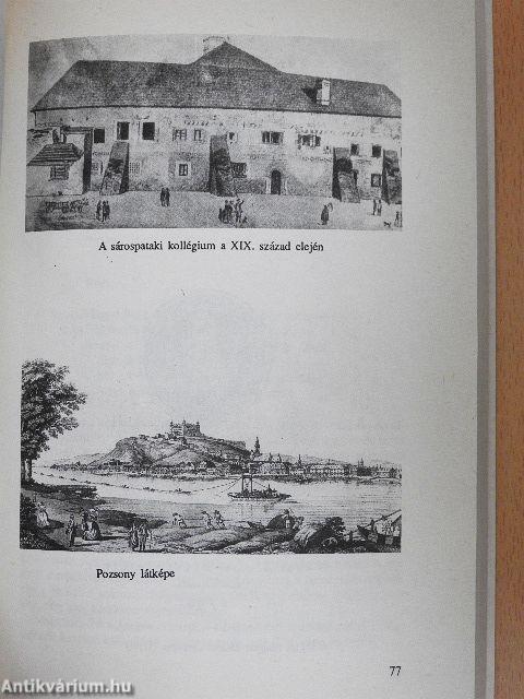 Csokonai Vitéz Mihály