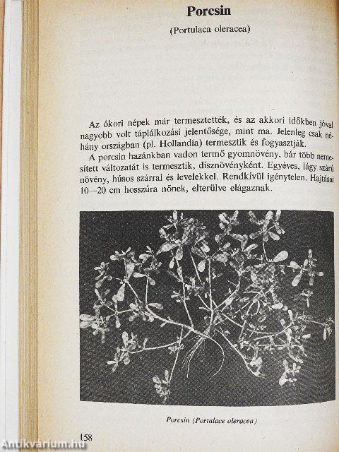 Különleges zöldségételek