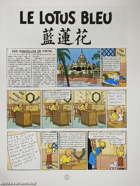 Le Lotus bleu