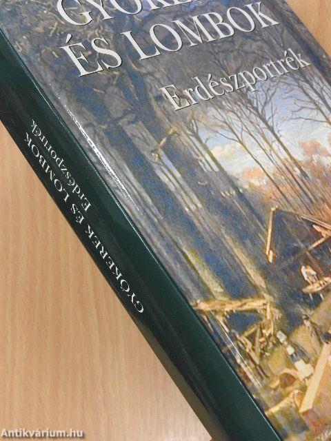 Gyökerek és lombok 3.