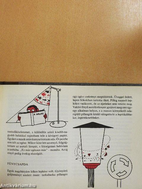 Jó játék a fény, az árnyék