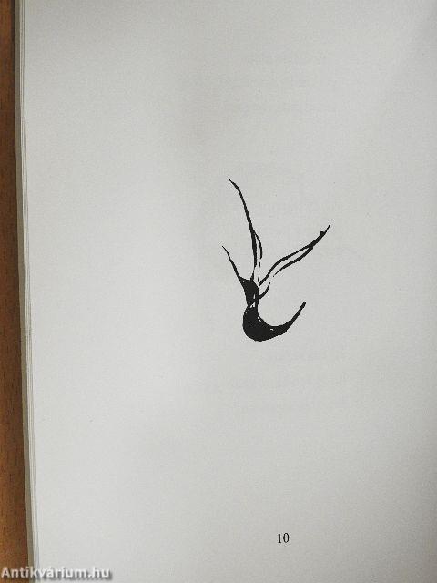 Szélbe kitett lámpás