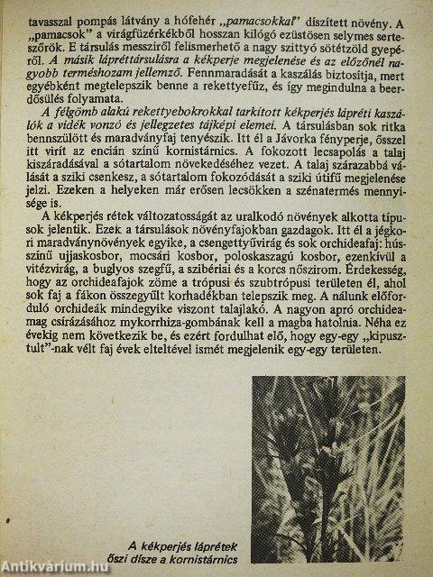 Ócsa - Tájvédelmi körzet