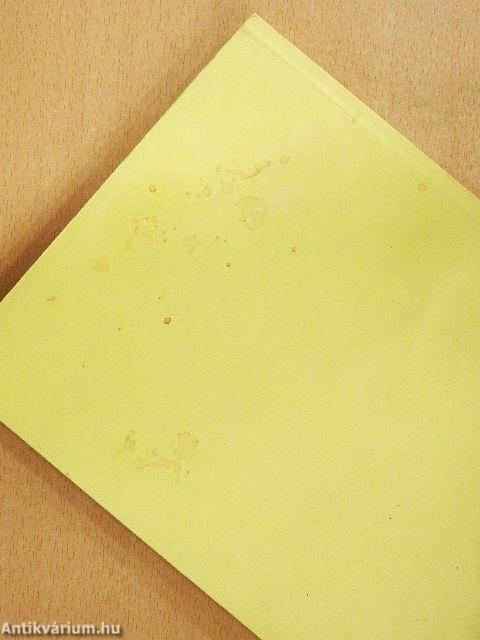 United States History: A Brief Introduction for Hungarian Students